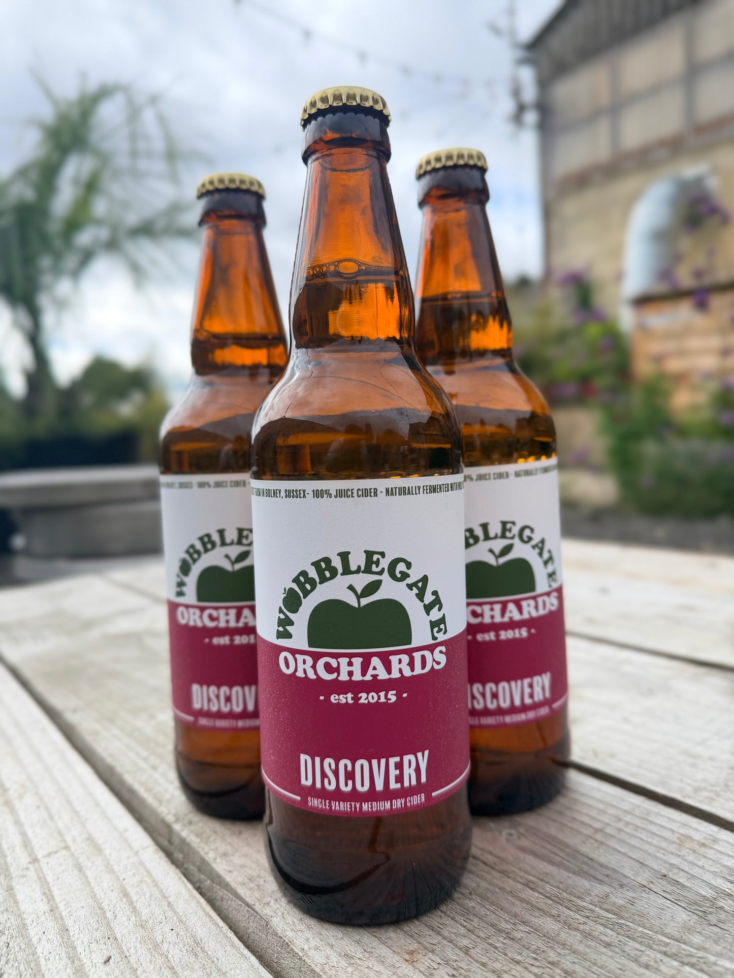 WOBBLEGATE DISCOVERY CIDER