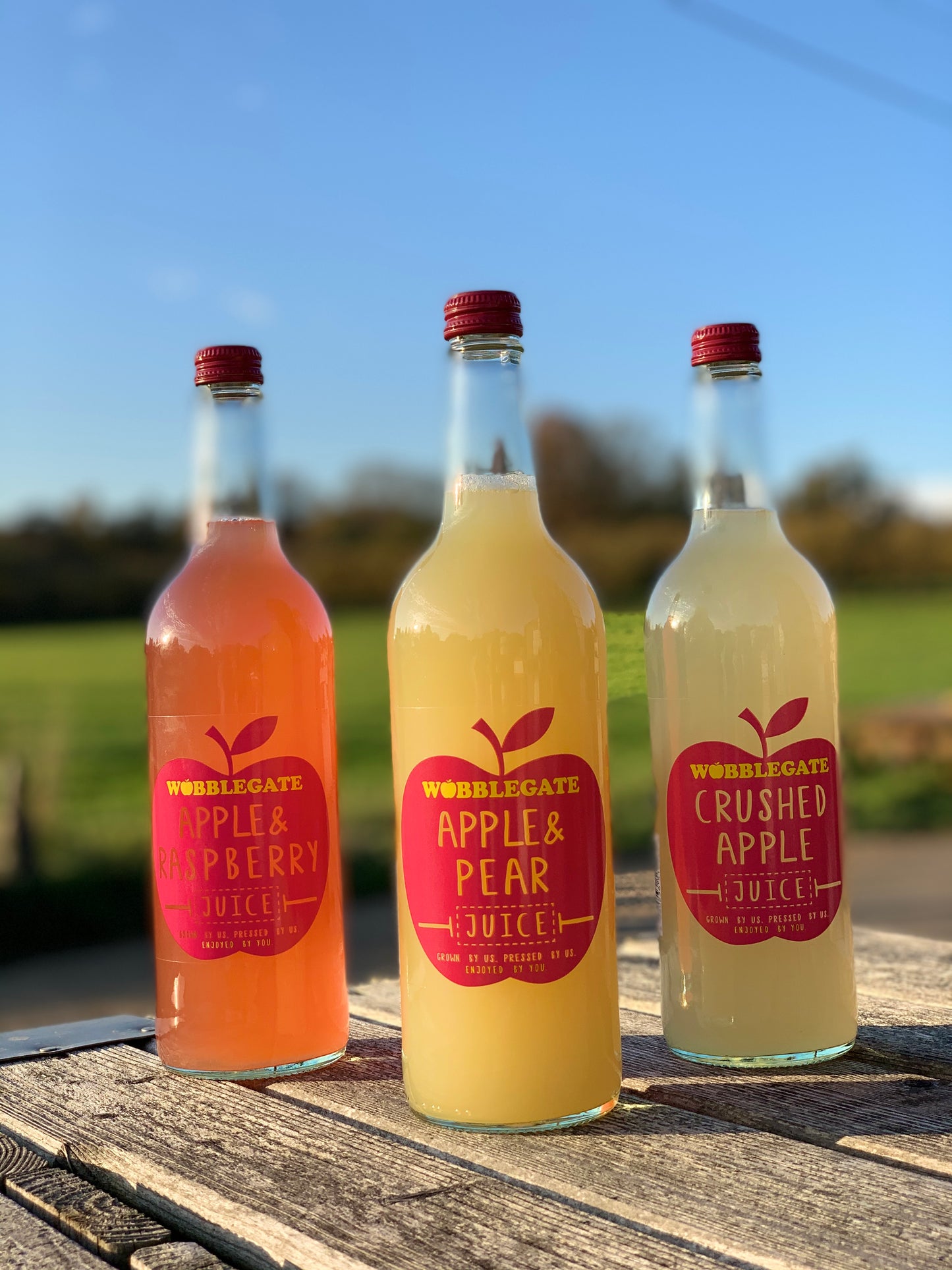 APPLE & PEAR JUICE
