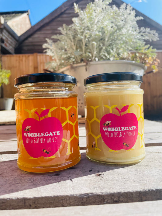 WILD BOLNEY HONEY