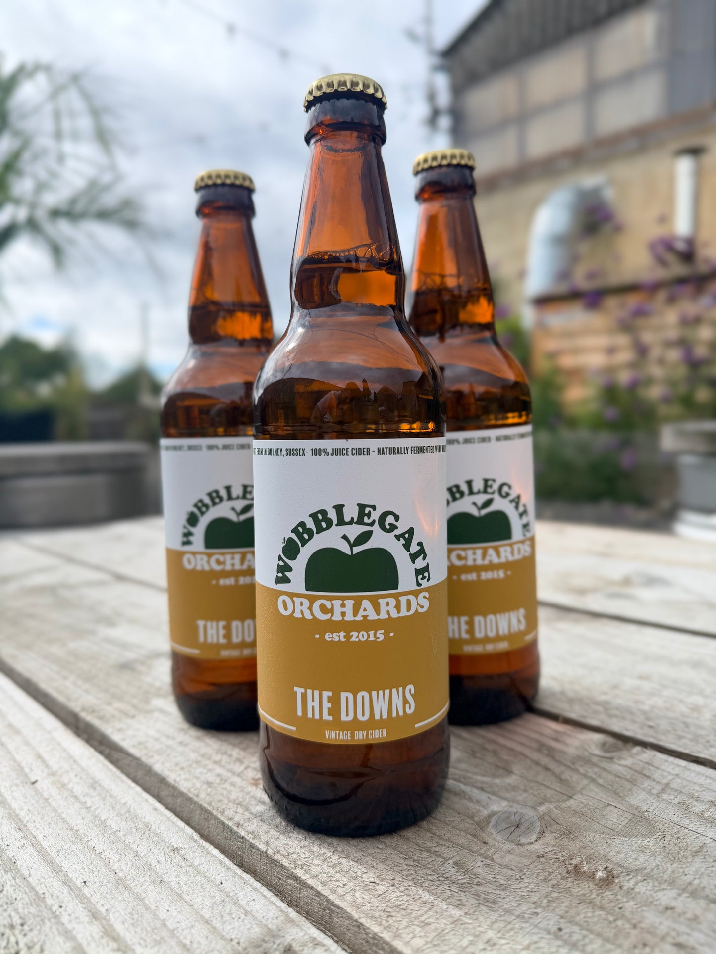 WOBBLEGATE THE DOWNS CIDER