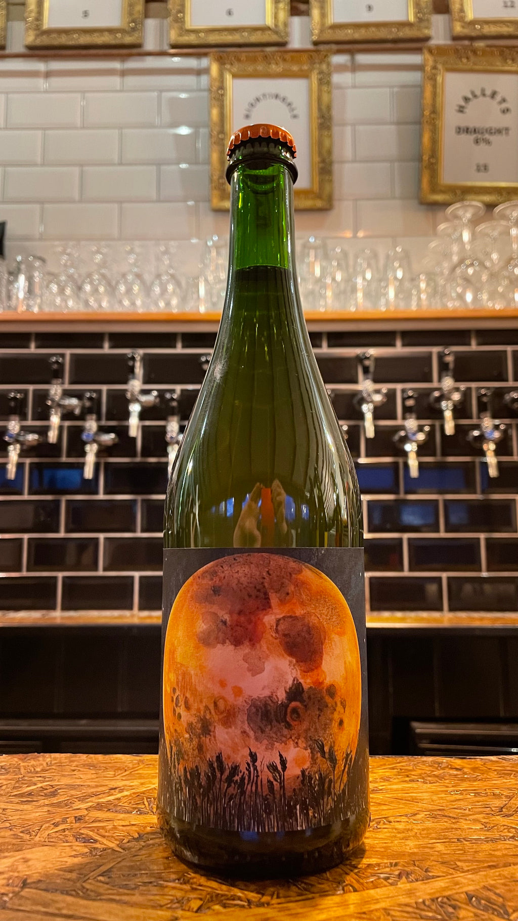 Artiststraw - Harvest Shrew Artiststraw - Harvest Shrew