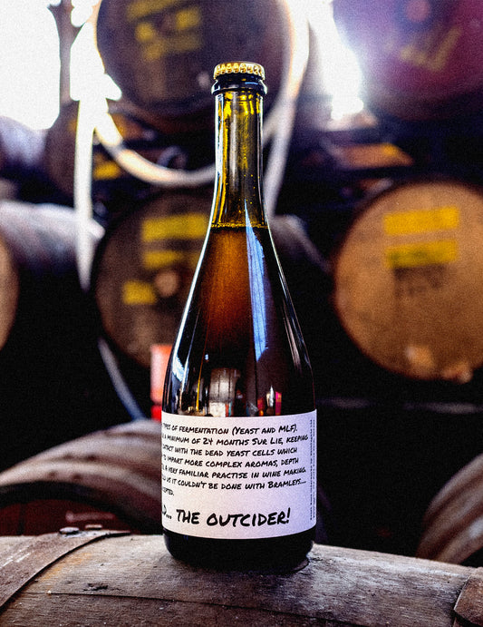REBEL ROOT - THE OUTCIDER 2016